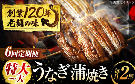 【6回定期便】うなぎ 蒲焼き 2尾 × 6回 計12尾 多治見市/澤千 蒲焼き かば焼き [TDD006]