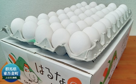【定期便 6ヶ月】特選 はるなのたまご Mサイズ 5kg×6回 鶏卵 食材 万能 タンパク質 朝採れの 新鮮たまご 厳選 特選卵 卵料理 卵焼き オムレツ プリン 茶碗蒸し 卵かけごはん TKG 目玉焼き 