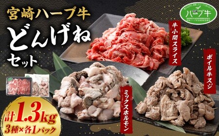 ＜宮崎ハーブ牛どんげねセット＞翌月末迄に順次出荷【c005_fw_x2】