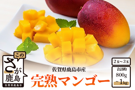 【生産者直送】濃厚完熟!まっちゃんマンゴー（2～3玉 800g～1kg程度）【2026年5月中旬頃から6月初旬発送】 B-118