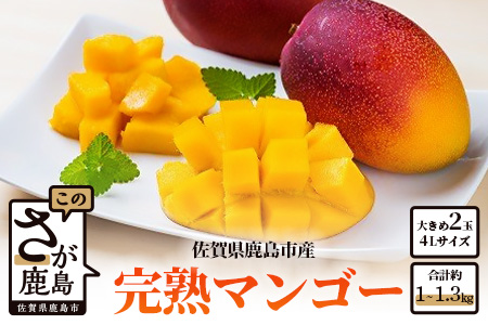  【生産者直送】濃厚完熟!まっちゃんマンゴー（大きめ4L×2玉）【2026年5月中旬頃から6月初旬発送】 C-36