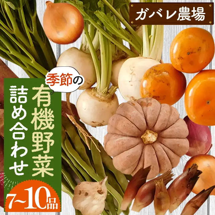 ガバレ農場の季節の有機野菜詰め合わせセット No.058