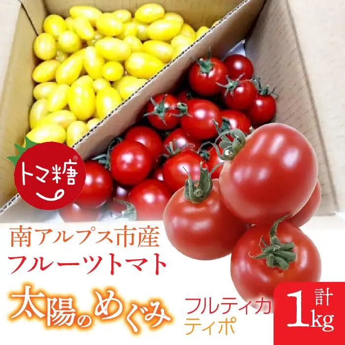 フルーツトマト「太陽のめぐみ」1kg（フルティカ＆ティポ）ALPBI002 | トマト 高糖度 トマト フルーツトマト おすすめ トマト 産地直送 新鮮 フレッシュ 高栄養素 南アルプス市 山梨 |