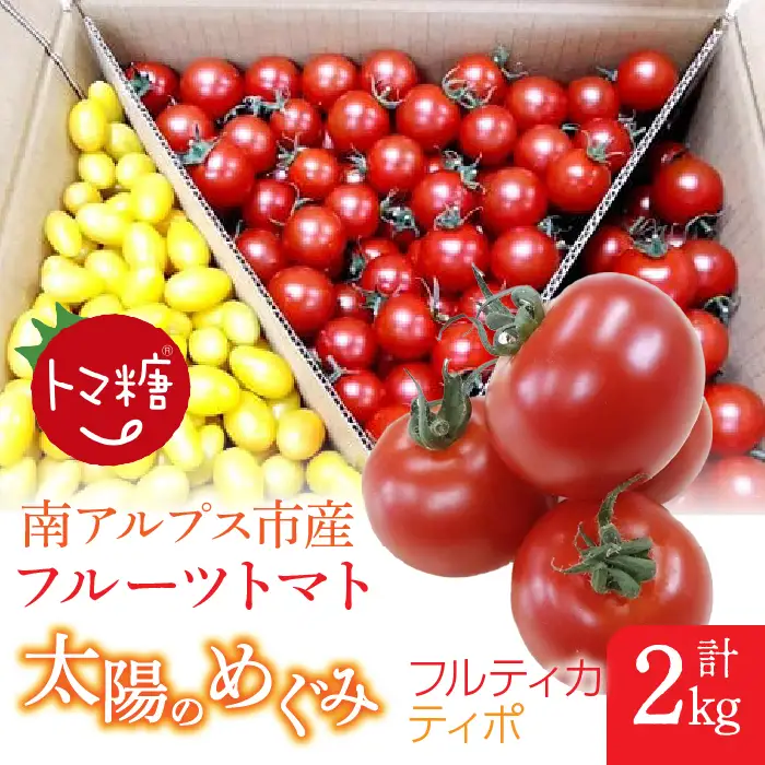 フルーツトマト「太陽のめぐみ」2kg（フルティカ＆ティポ）ALPBI003 | トマト 高糖度 トマト フルーツトマト おすすめ トマト 産地直送 新鮮 フレッシュ 高栄養素 南アルプス市 山梨 |