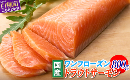 ＼高評価 4.9／ 国産 プレミアム ワンフローズントラウトサーモン 800g_T011-1232