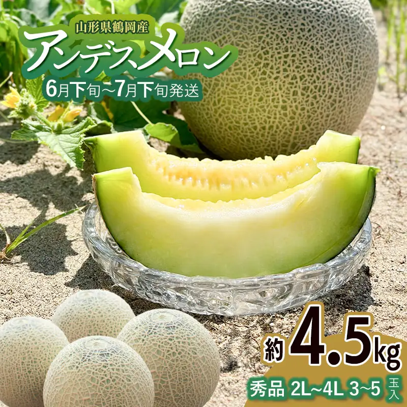 【令和8年産先行予約】アンデスメロン（青肉） 約4.5kg 2L～4L 【秀品】 3玉～５玉入 【令和8年6月下旬～7月下旬頃発送予定】 山形県鶴岡産 庄内砂丘メロン 御殿まりメロン 丸果庄内青果 　| メロン めろん アンデスメロン 山形 鶴岡 庄内 庄内産 東北 フルーツ 果物 くだもの 夏 旬 人気 おすすめ 美味しい お取り寄せ 返礼品
