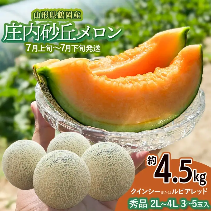 【令和8年産先行予約】 庄内砂丘メロン（赤肉）約4.5kg 2L～4L 【秀品】 3～5玉入 【令和8年7月上旬～7月下旬頃発送予定】山形県鶴岡産 紅花メロン　丸果庄内青果　| メロン めろん フルーツ 果物 くだもの 夏 旬 デザート 産地直送 山形 鶴岡 庄内 東北 人気 おすすめ 美味しい 国産 お取り寄せ 返礼品