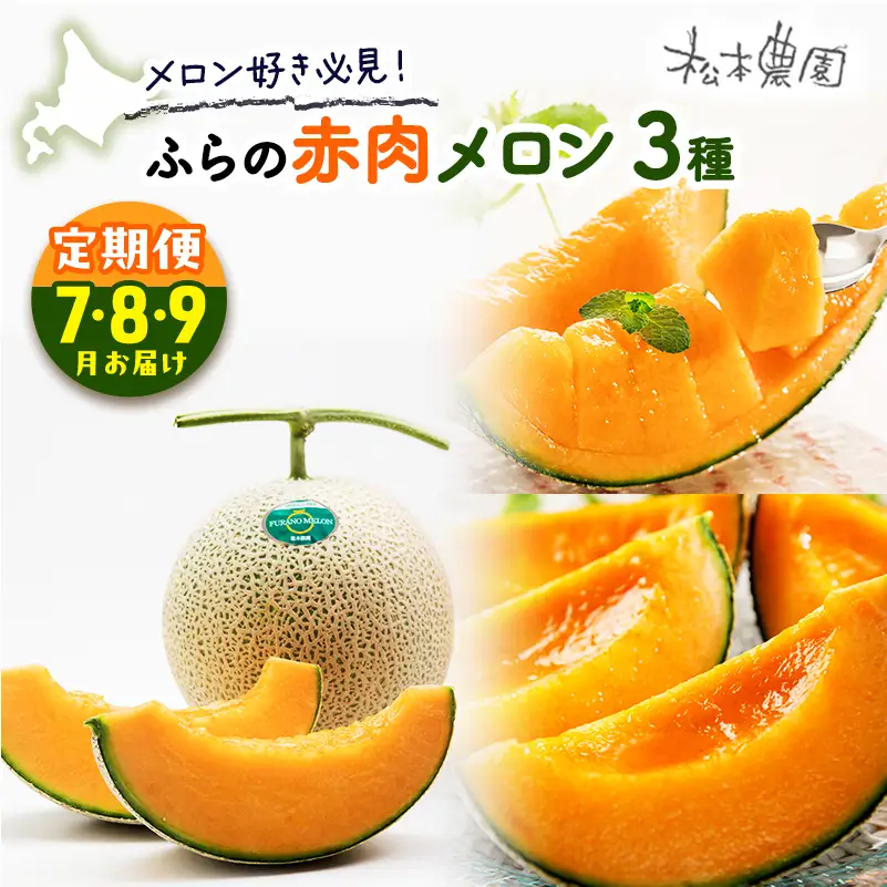 【2026年7～9月連続お届け】メロン 好き必見！ ふらの 赤肉 メロン3種 贅沢 定期便 北海道 富良野市 食べ比べ  (松本農園) メロン フルーツ 果物 新鮮 甘い 贈り物 ギフト 道産 ジューシー おやつ ふらの ブランド 夏 