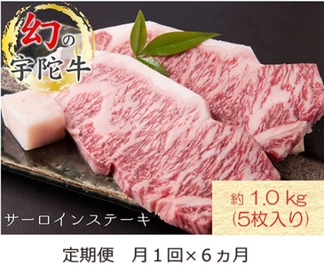 毎月定期便全6回 名産 認定肉 宇陀牛 国産 黒毛和牛 サーロイン ステーキ 5枚 計1kg / 山繁 ふるさと納税 牛肉 牛丼 しゃぶしゃぶ 人気 寄付 ランキング おすすめ グルメ 肉 返礼品 送料無料