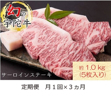 毎月定期便全3回 名産 認定肉 宇陀牛 国産 黒毛和牛 サーロイン ステーキ 5枚 計1kg / 山繁 ふるさと納税 牛肉 牛丼 しゃぶしゃぶ 人気 寄付 ランキング おすすめ グルメ 肉 返礼品 送料無料