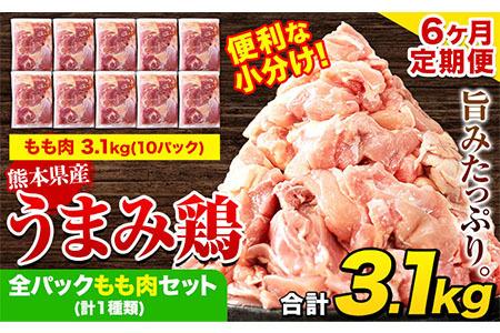 【6ヶ月定期便】うまみ鶏 もも肉3.1kg 鶏肉 定期便