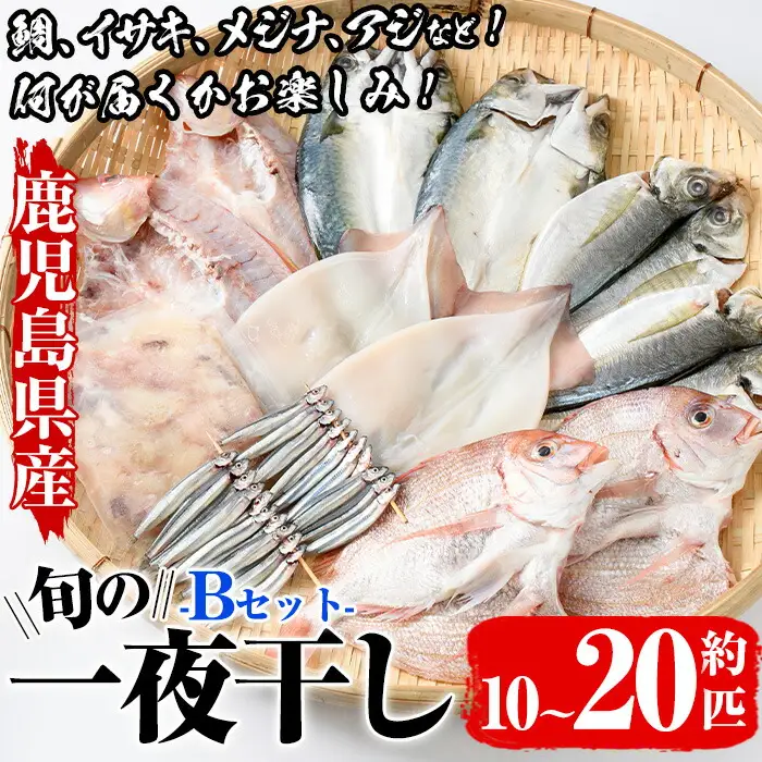 数量限定！阿久根市産の旬の一夜干しグルメ＜B＞セット(鯛・アジ・イカ・サバなど)国産 鮮魚 詰め合わせ お楽しみ 海の幸 魚介類 干物 海鮮【さるがく水産】akn028-18