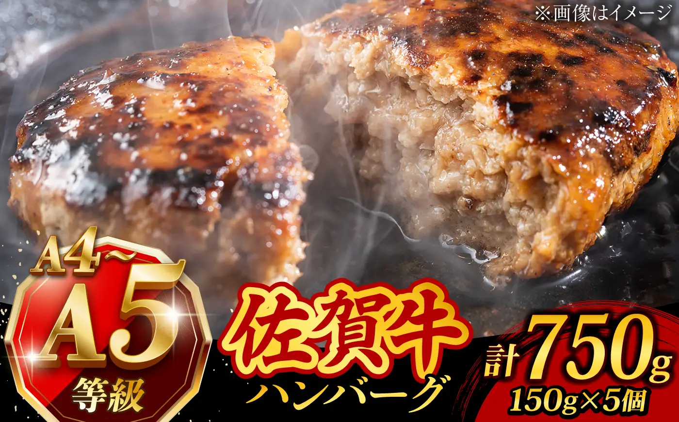 A4 A5 佐賀牛100％ ハンバーグ 計750g /焼肉どすこい [UCC024] 牛肉 肉 牛ハンバーグ