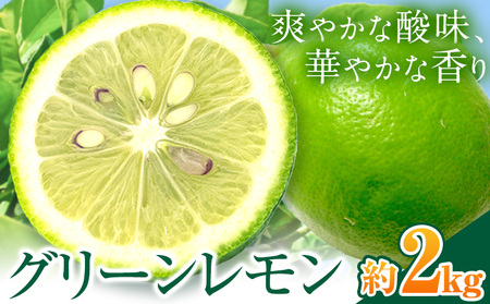 グリーンレモン 約2kg ときわオンライン【先行予約】《2026年10月上旬-2027年2月末頃出荷》 柑橘 和歌山県 紀の川市 フルーツ 果物 レモン グリーンレモン 檸檬 送料無料