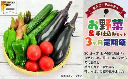 【福岡八女・奥八女】里山の恵み　お野菜＆手仕込みセット定期便【全３回】※配送不可：北海道と離島（沖縄本島を含む） 072-T065
