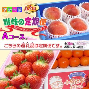 【定期便3回Aコース】 フルーツ セット 定期便 ( いちご 約250g × 4パック & 桃 約2kg & みかん 約5kg × 3ヶ月 )  ｜産直あきんど 坂出産 創業100年