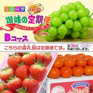 【定期便3回Bコース】 フルーツ セット 定期便 ( いちご 約250g × 4パック & シャインマスカット 1房 約600g以上 & みかん 約5kg × 3ヶ月 ) ｜産直あきんど 坂出産 創業100年