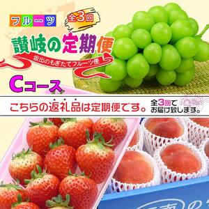 【定期便3回Cコース】 フルーツ セット 定期便 ( いちご 約250g × 4パック & 桃 約2kg & シャインマスカット 1房 約600g以上 × 3ヶ月 ) ｜産直あきんど 坂出産 創業100年