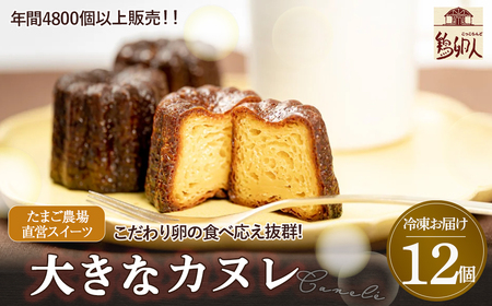 たまご農場直営スイーツ!こだわり卵の食べ応え抜群!大きなカヌレ　12個／Gbn-41 焼き菓子 カヌレ
