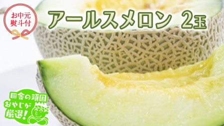 【お中元 熨斗付】 アールスメロン 2個 【7月より発送開始】