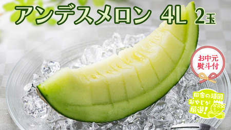 【お中元 熨斗付】 アンデスメロン 4L×2個 【7月より発送開始】