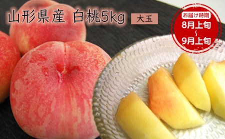 《先行予約 2026年度発送》【山形県産】白桃5kg(大玉13～20玉) もも モモ 桃 デザート フルーツ 果物 くだもの 果実 食品 山形県 FSY-0387
