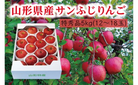 《先行予約 2026年度発送》【山形県産】サンふじりんご特秀品5kg りんご リンゴ 林檎 デザート フルーツ 果物 くだもの 果実 食品 山形県 FSY-0406