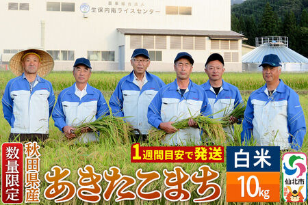 【白米】令和7年産 あきたこまち 10kg（10kg×1袋）精米 秋田県仙北市産 10キロ