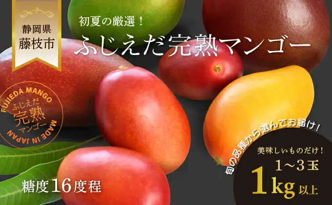 マンゴー 先行予約 2026年6月頃より順次発送 完熟 マンゴー 1kg