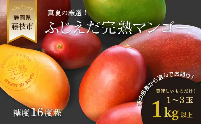 マンゴー 先行予約 2026年7月頃より順次発送 完熟マンゴー 1kg
