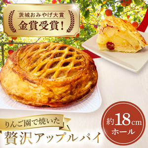 藤田観光りんご園】りんご園で焼いた贅沢アップルパイ（ホールサイズ