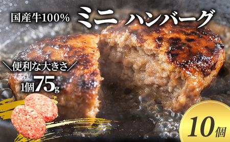ミニ ハンバーグ 75g 10個 セット 国産 牛壱 国産牛100％ 冷凍 惣菜 おかず 真空パック 煮込みハンバーグ お肉 肉 牛肉 牛 淡路島 たまねぎ 手作り ギフト 贈り物 プレゼント 大阪 柏原市 大阪府柏原市 