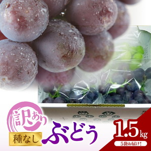 【訳あり】ぶどう 300g×5袋 N053-YA5511