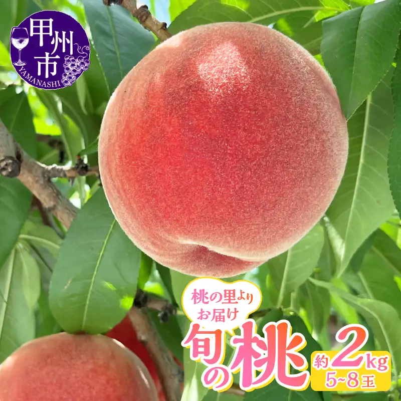 産地直送 山梨桃の里よりお届け！旬の桃 約2kg（5～8玉）【2026年発送】（LKS）B12-161 【桃 もも モモ 令和7年発送 期間限定 山梨県産 甲州市 フルーツ 果物】
