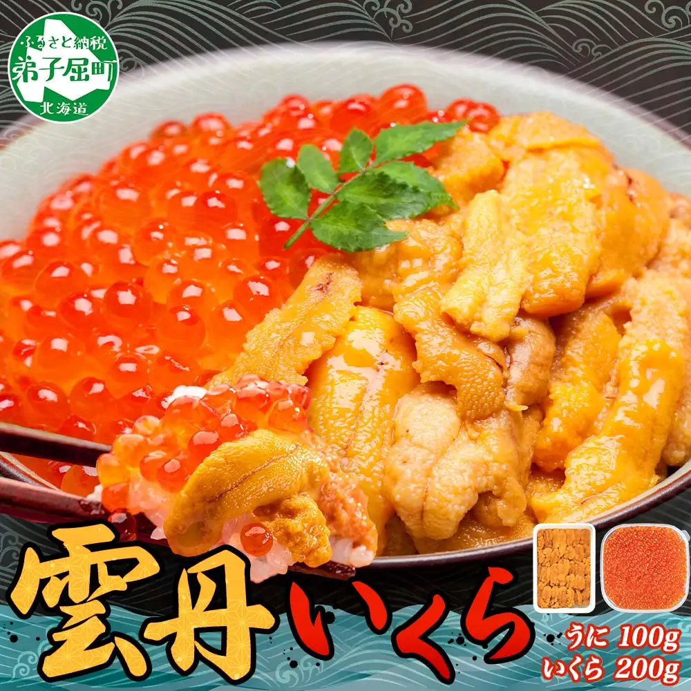 3590.  うに 100g いくら醤油漬け 200g ウニ チリ産 冷凍 いくら 二色丼 雲丹 イクラ 海鮮 海鮮丼 うに丼 いくら丼 いくら醤油漬け 送料無料 北海道 弟子屈町