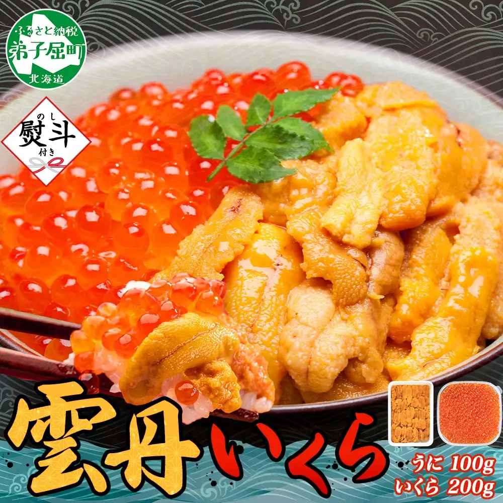 3595.  無地熨斗 うに 100g いくら醤油漬け 200g ウニ チリ産 冷凍 いくら 二色丼 雲丹 イクラ 海鮮 海鮮丼 うに丼 いくら丼 いくら醤油漬け のし 名入れ不可 送料無料 北海道 弟子屈町