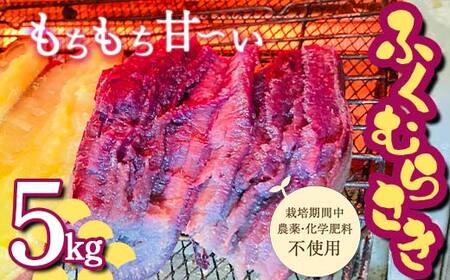 栽培期間中、農薬・化学肥料不使用 もちもち甘～い『ふくむらさき』サイズ 大～小混合 5kg さつまいも サツマイモ 山形県 新庄市 F3S-2641