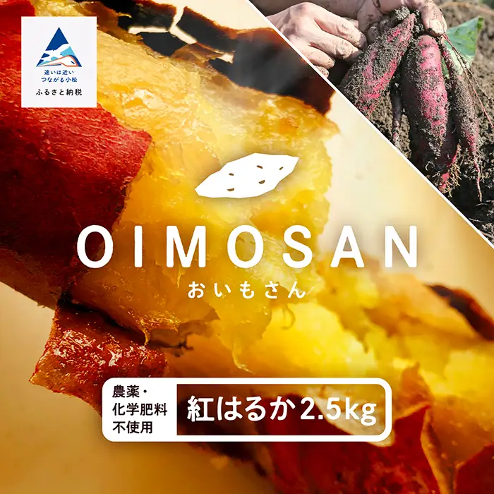 【先行予約】 紅はるか 2.5kg ねっとり甘～い おいもさん【農薬・化学肥料不使用】