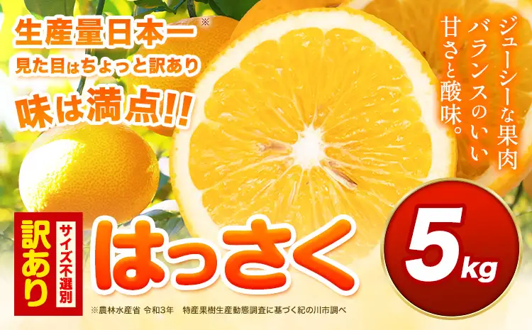 ご家庭用 はっさく 約5kg (サイズ不選別) 