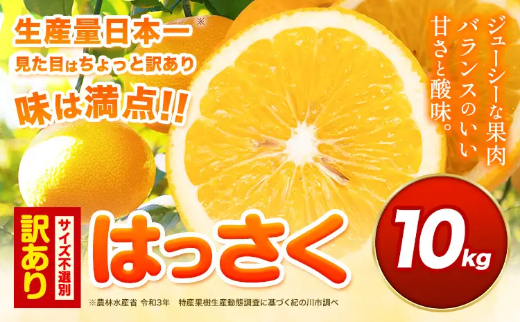 ご家庭用 はっさく 約10kg (サイズ不選別)
