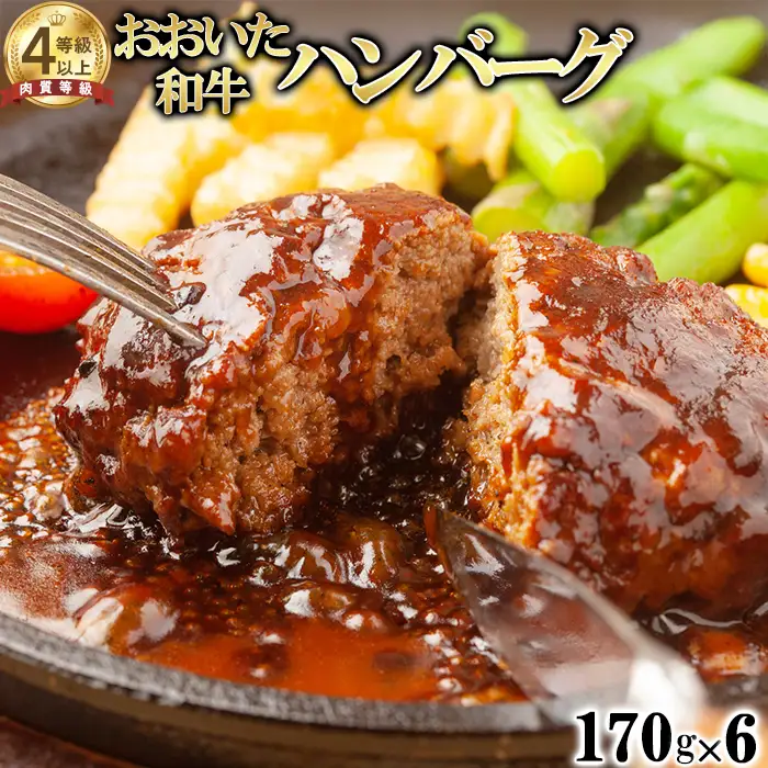 おおいた和牛 ハンバーグ (170g×6)【ニード牧場】 高級 国産 ブランド 牛肉 九州 大分県 冷凍 黒毛 和牛 豊後牛 人気 お肉 日本一 受賞 お楽しみ 旨み カレー おすすめ ランキング ＜129-002＞