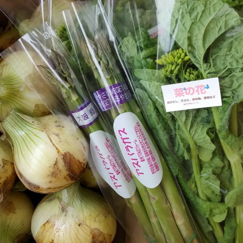 【先行予約】泉州TONOファーム厳選 春の野菜セット