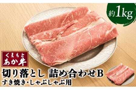 牛肉 あか牛 詰め合わせB 合計約1kg