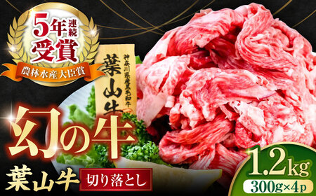 葉山牛切り落とし300g×4パック [AKAG003]切り落とし