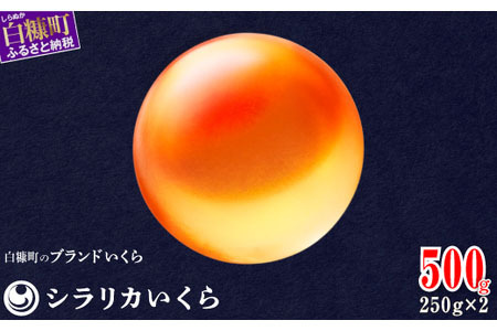 ＼高評価 4.9／ シラリカいくら（生いくら）【500g（250g×2）】_I023-0919