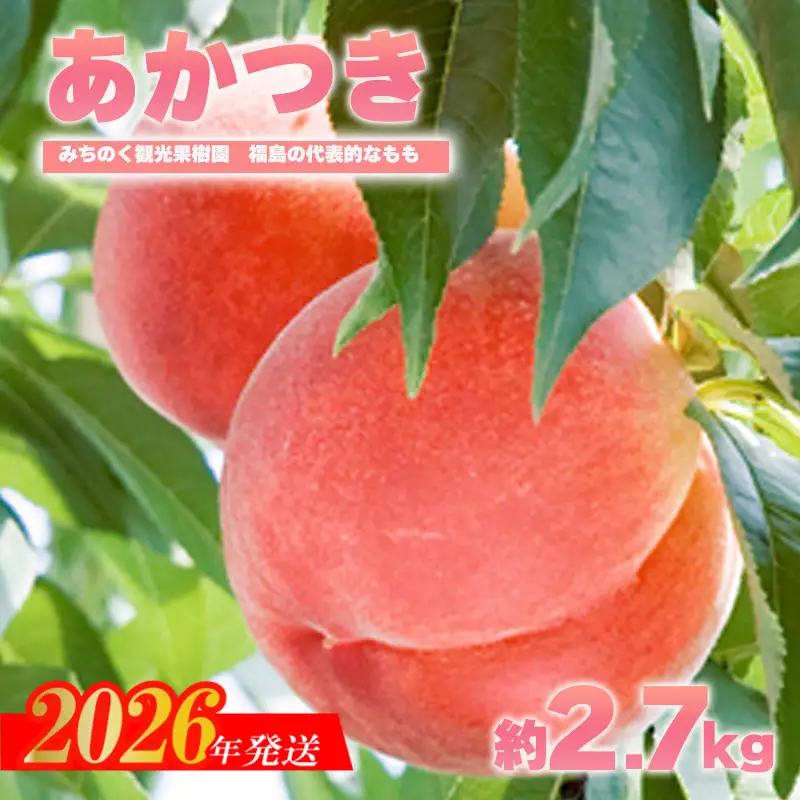 No.2344もも「あかつき」贈答用　約2.7kg【2026年発送　先行予約】