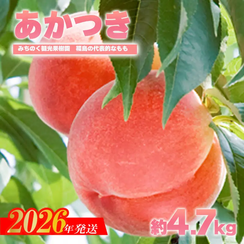 No.2345もも「あかつき」贈答用　約4.7kg【2026年発送　先行予約】
