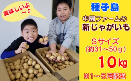 2026年 収穫  種子島 中園ファーム 新じゃがいも Sサイズ 10kg　NFN397【350pt】
