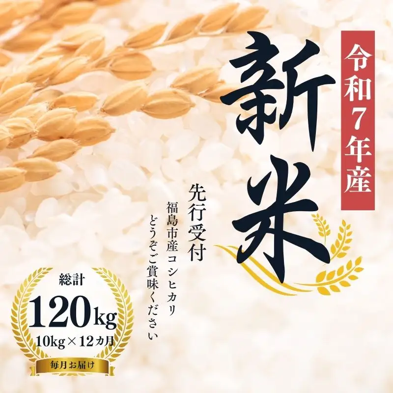 No.2497【令和7年産】大文字屋米穀店【定期便12回】コシヒカリ 10kg（5kg×2）精米 （毎月お届け）