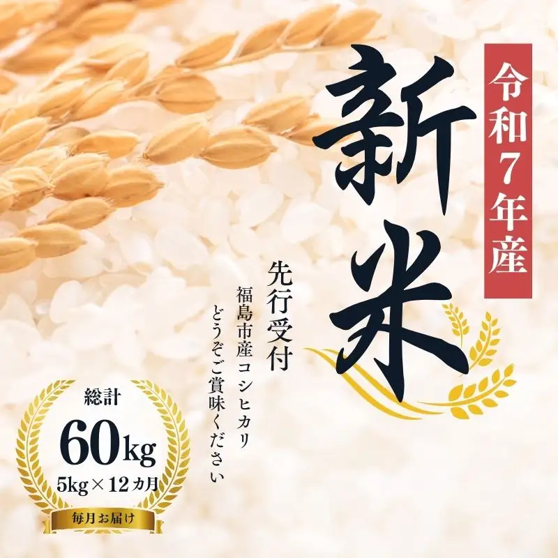 No.2498【令和7年産】大文字屋米穀店【定期便12回】コシヒカリ 5kg 精米（毎月お届け）